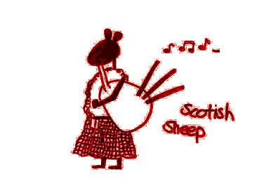 Bild: scotishsheep - art edition